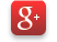 Google+